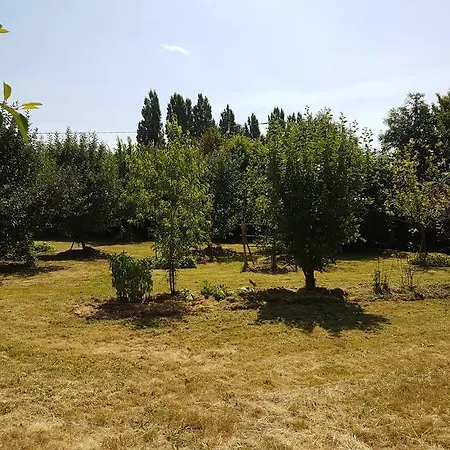 Insolite: Le Kota Du Lutin Many * Saint-Christophe-Sur-Conde